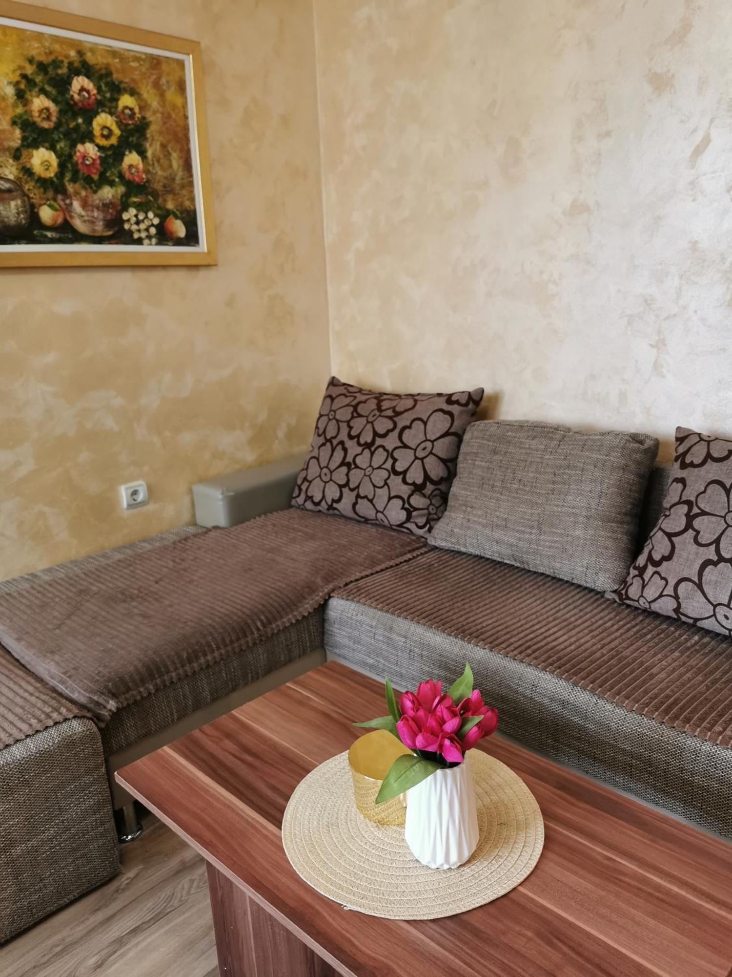 Apartment Ruza Kladovo Ruang foto