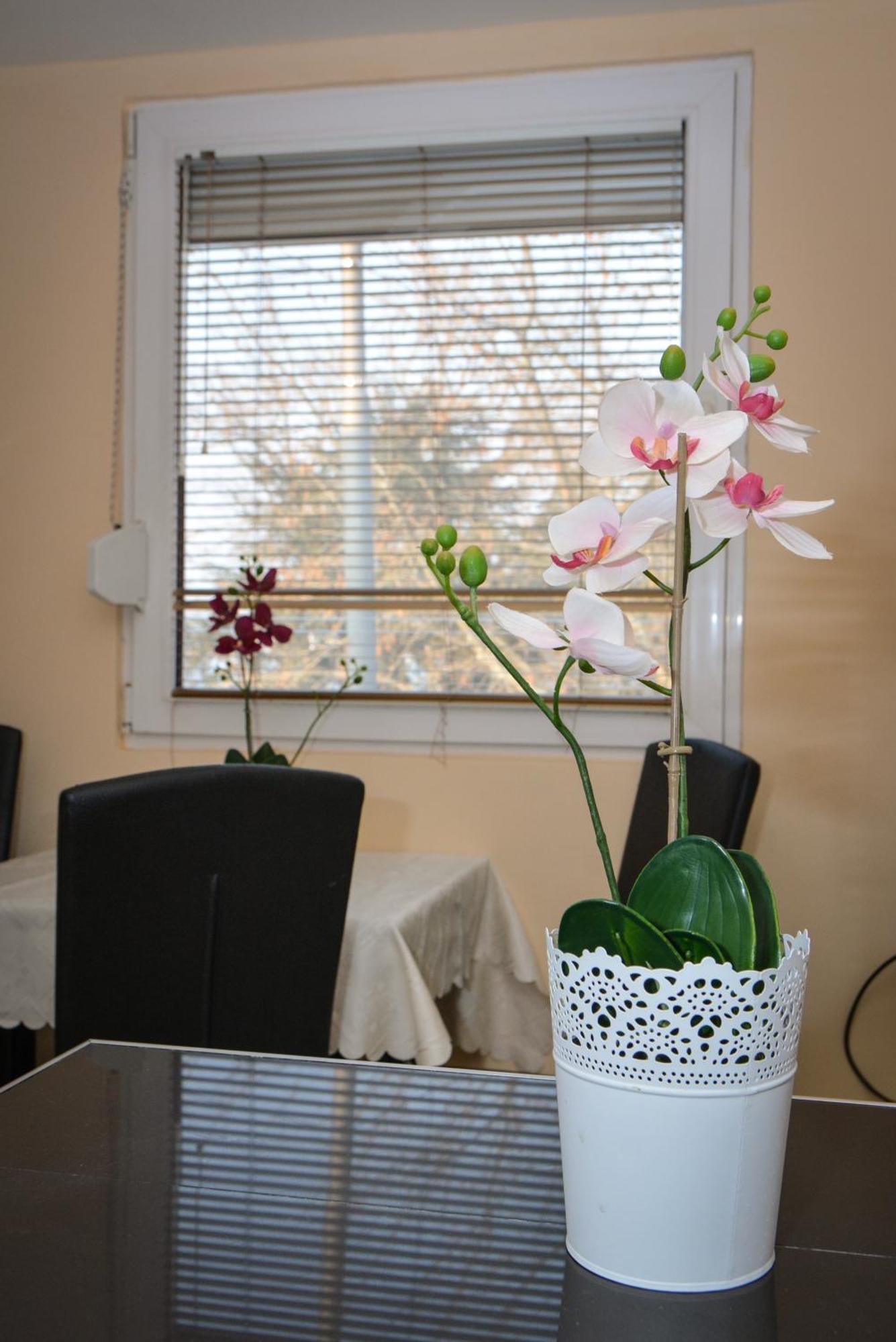 Apartment Ruza Kladovo Bagian luar foto